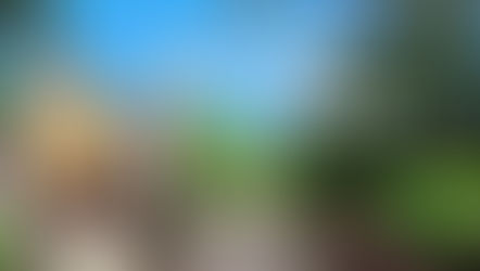 The crocodile farm at Puerto Princesa in Palawan