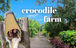 The crocodile farm at Puerto Princesa in Palawan
