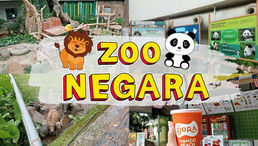 Spending Time with Animals: A Visit to Zoo Negara Malaysia
