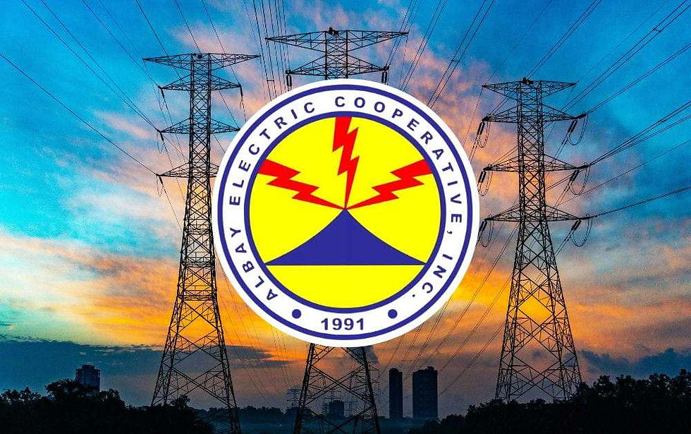 ALECO Privatization Should be Last Resort, Not First Option