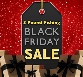 Screenshot 2025-11-22 at 12.49.19 PM.png