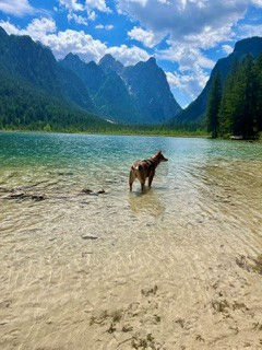 Hazel in einem Bergsee