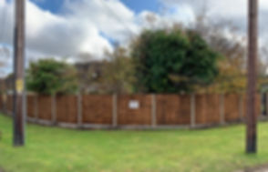 Featheredge Fence Panel