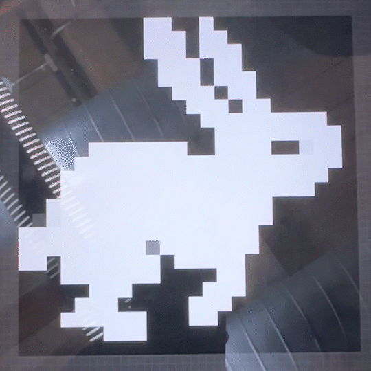 IMG_2294_MOV_AdobeExpress.gif