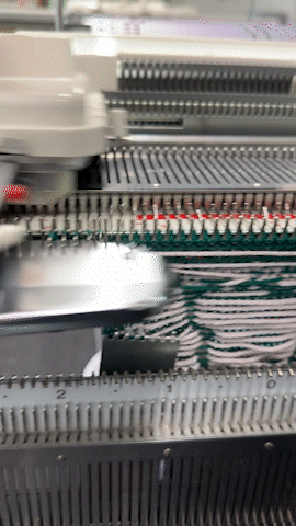 IMG_2672_MOV_AdobeExpress.gif