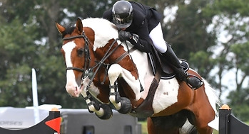 20778-1024-1024-100.jfif