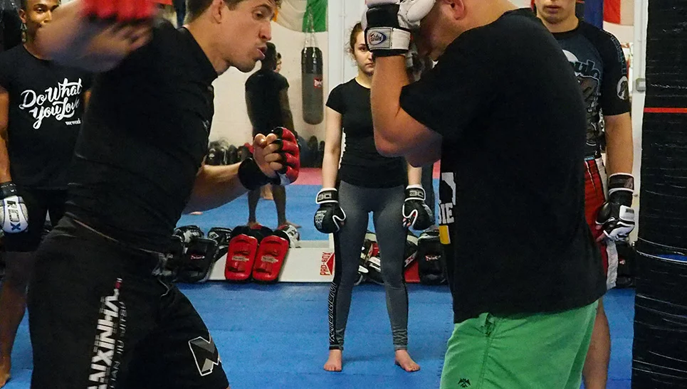 Mixed Martial Arts (MMA)