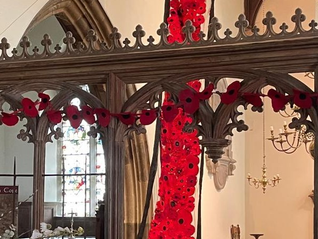Steeple Aston Poppy Cascade