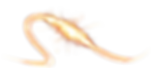 Light Trail (1).png