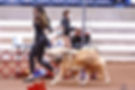 20428612-B748-4C1D-9CE9-23844F41B31E_edited_edited.jpg