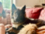 IMG_8893.jpeg
