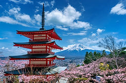 AdobeStock_481509544.jpeg