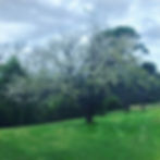 Spring Renew Retreat