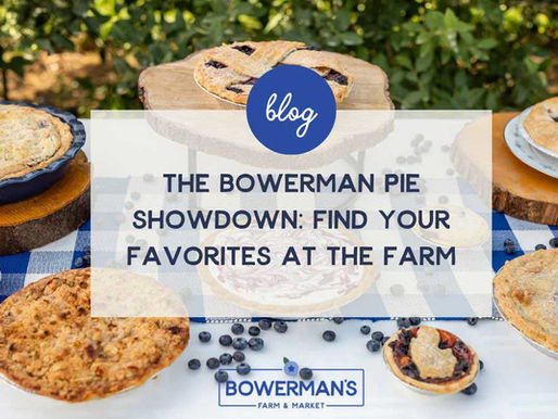Bowerman Pie Showdown: Top Pies to Try This Season in Holland, MI
