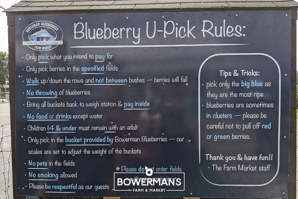 Chalkboard with "Blueberry U-Pick Rules" and tips for picking blueberries. Includes instructions like picking only ripe berries and respecting policies.