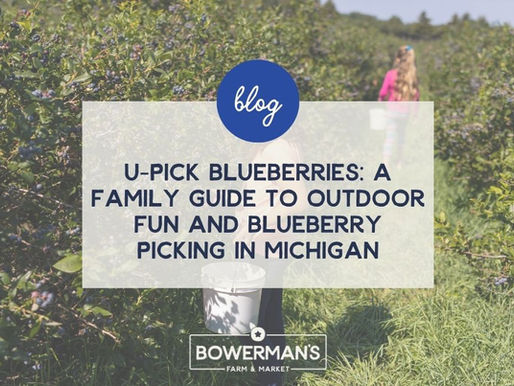 U-Pick Blueberries: A Family Guide to Outdoor Fun and Blueberry Picking in Michigan