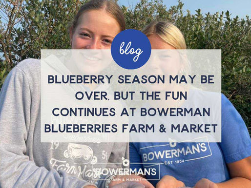 Blueberry Season May Be Over, But the Fun Continues at Bowerman Blueberries Farm & Market