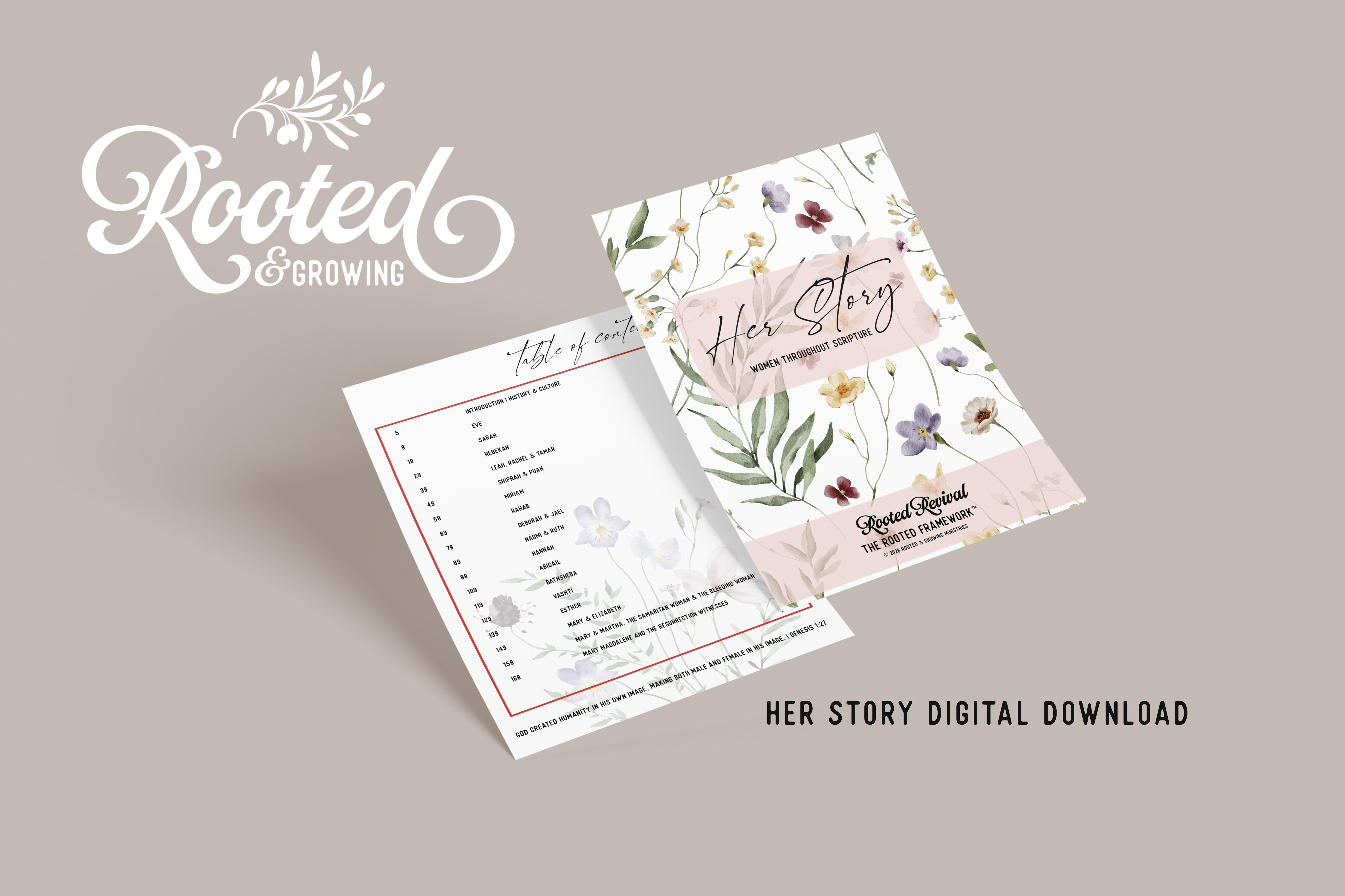 Her Story Bible Study | Digital Download