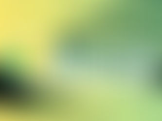 Pagamento do Simples Nacional é adiado para 26 de fevereiro.