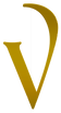v.png