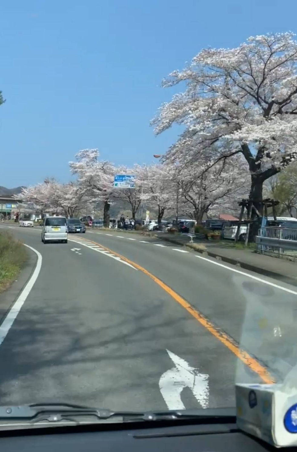 Driving through a painting