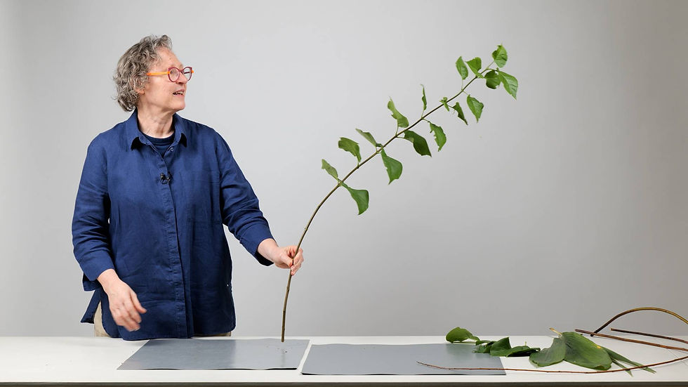 S-Shaped Branch with Leaves | Manual Bending