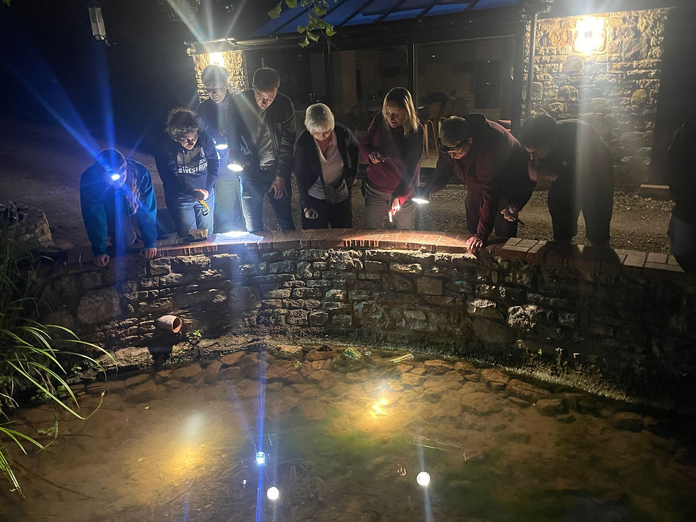 Here is a group of us on the Crayfish Training Course undertaking a Torch Survey of the White Claws. Somewhat curiously this little pocket of White Claws was in a stream in the back garden of a private house (the owners only realised they had a White Claws present a couple of years ago).