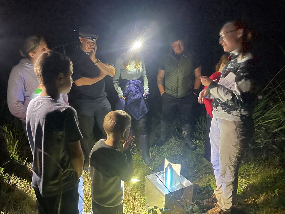 Anna Carey, ecologist, explaining the moth trapping techniques