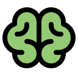 ph_brain-duotone.png