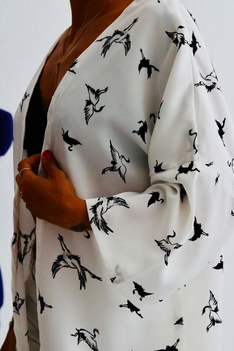 Miniatura: Blazer BIRDER