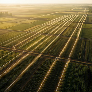 Agricultural Modernization Program