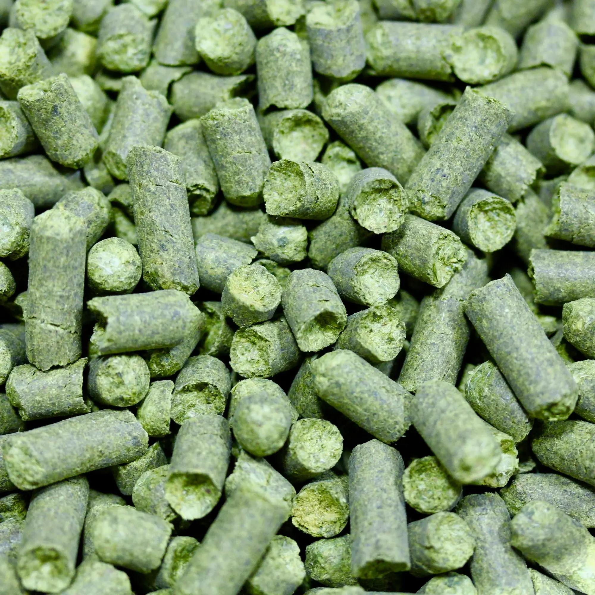 Cascade Hops – 1oz