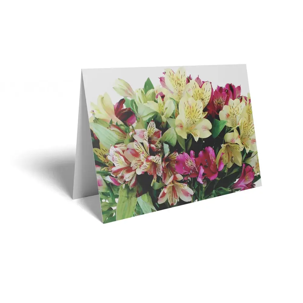 Alstromera Folding Cards with Flower Care instructions