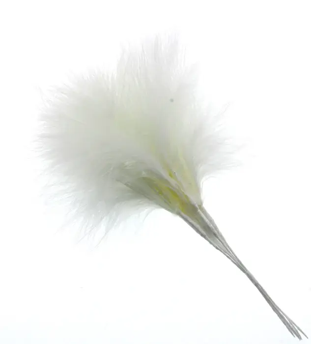 Fluffy Feathers Cream pack of 6