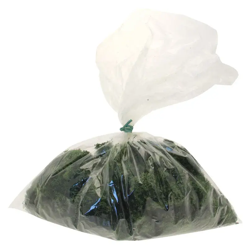 Moss Preserved Dark Green Reindeer Moss 500g