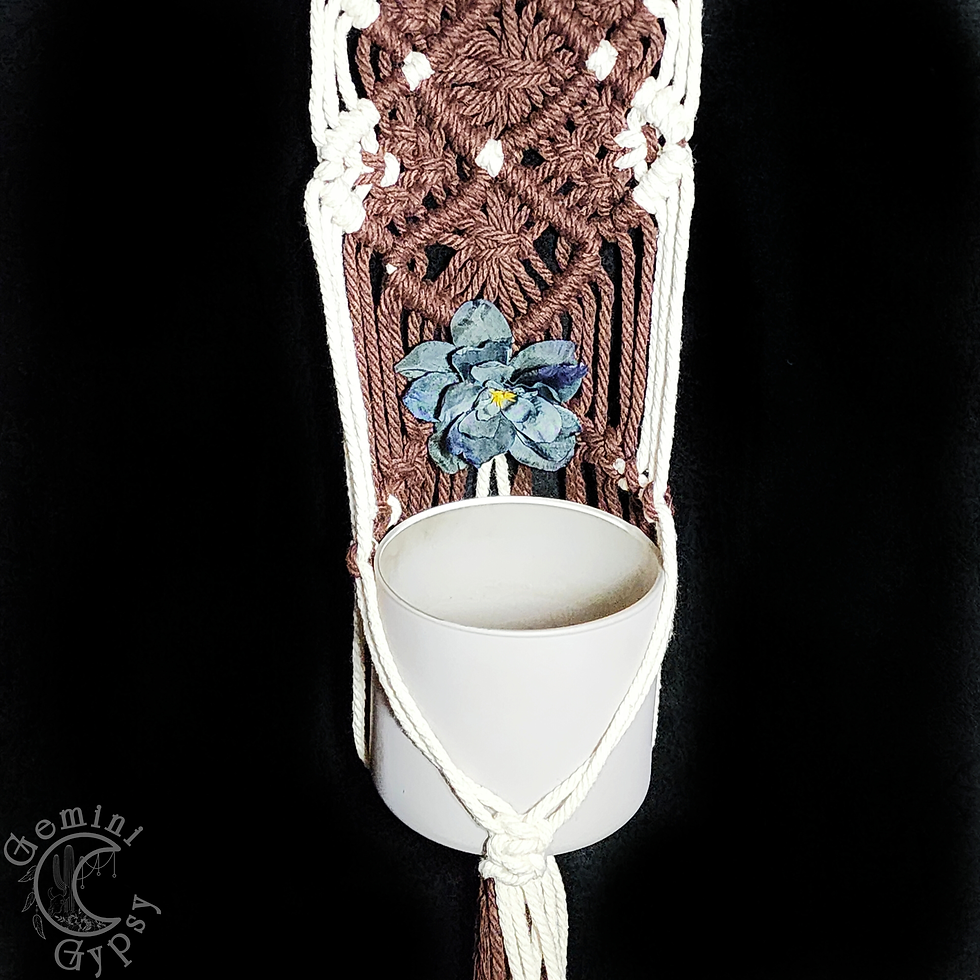 Thumbnail: Horseshoe Macrame Planter