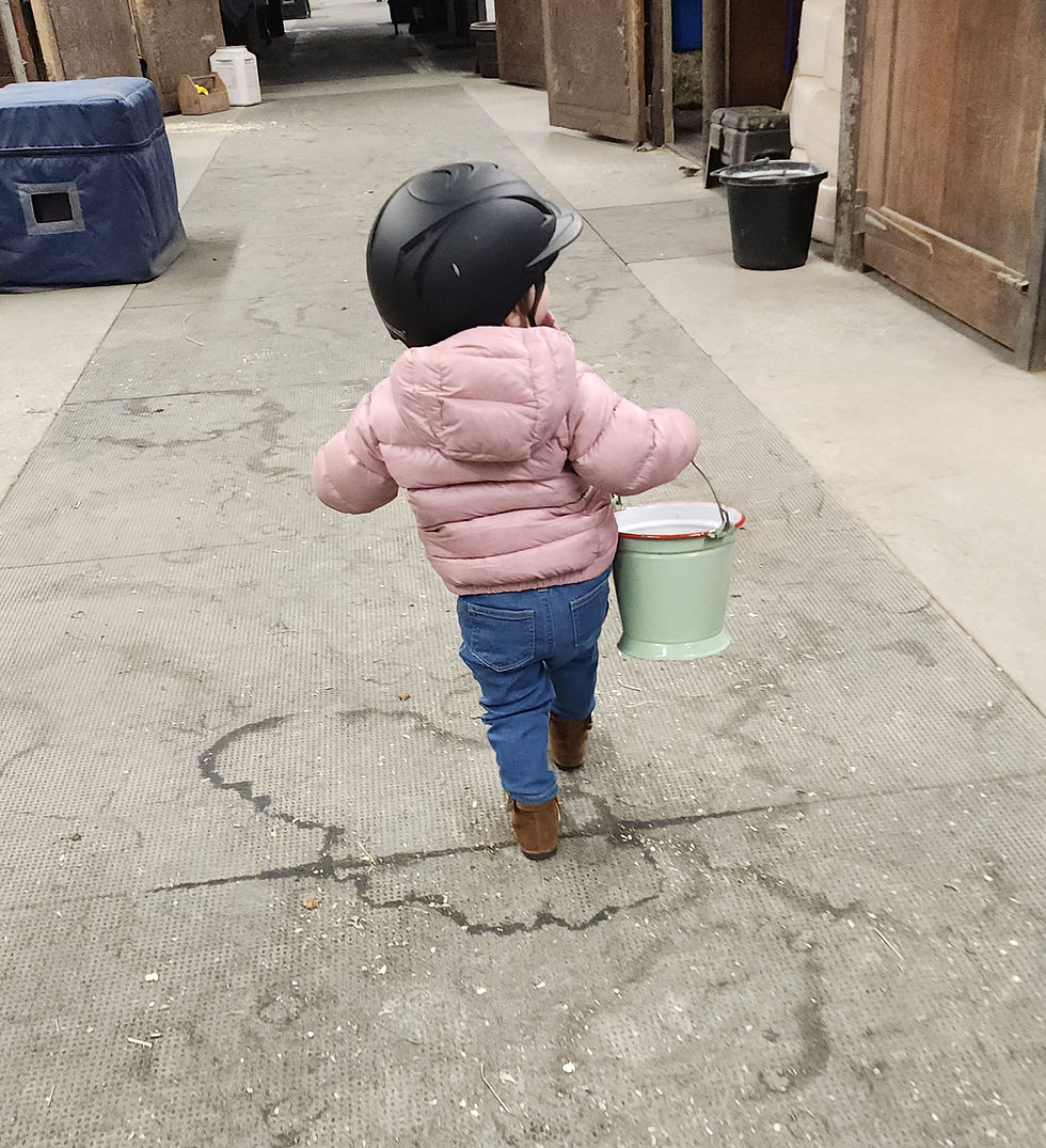 Kid bucket