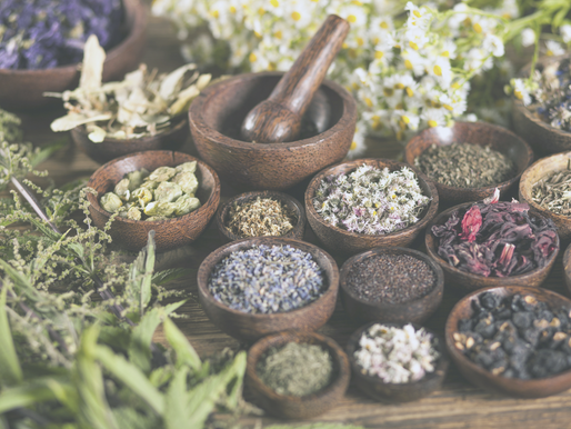 The Art of Food Preservation