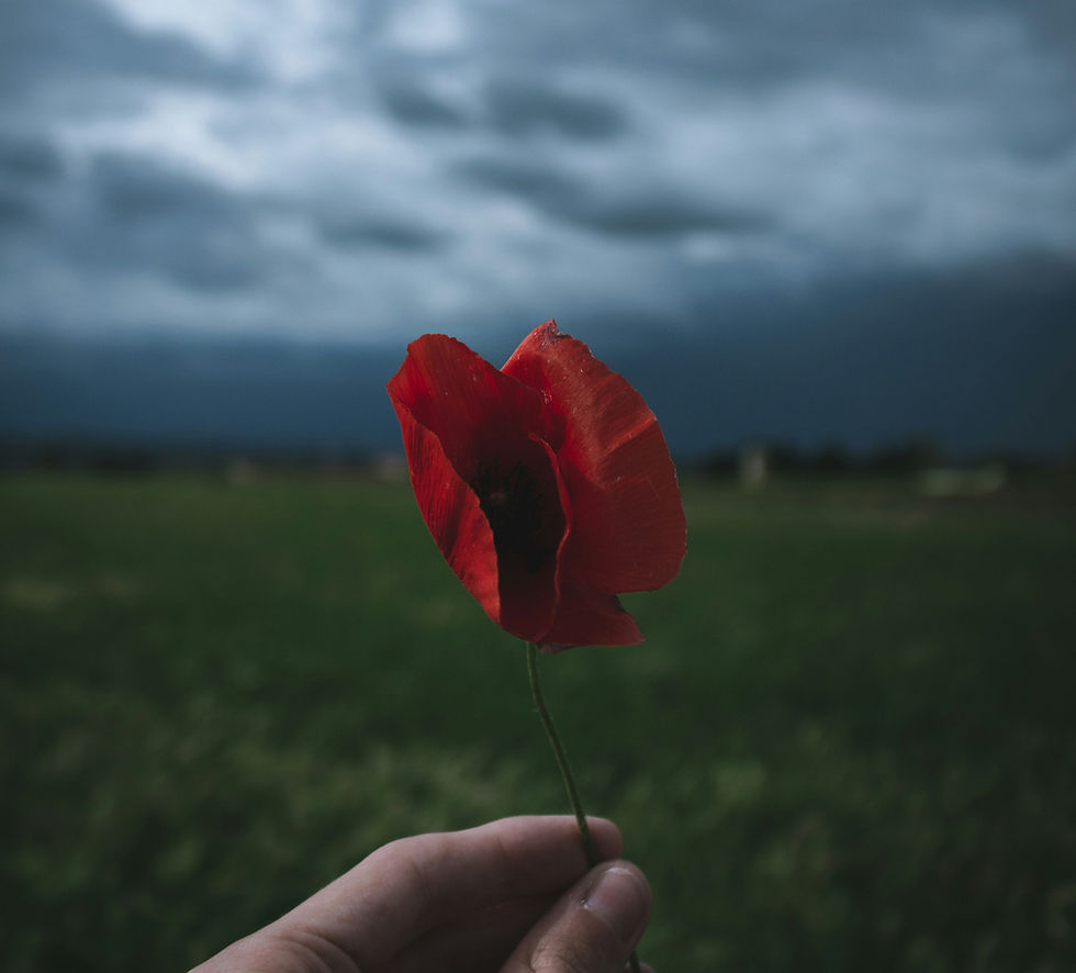 Poppy Appeal