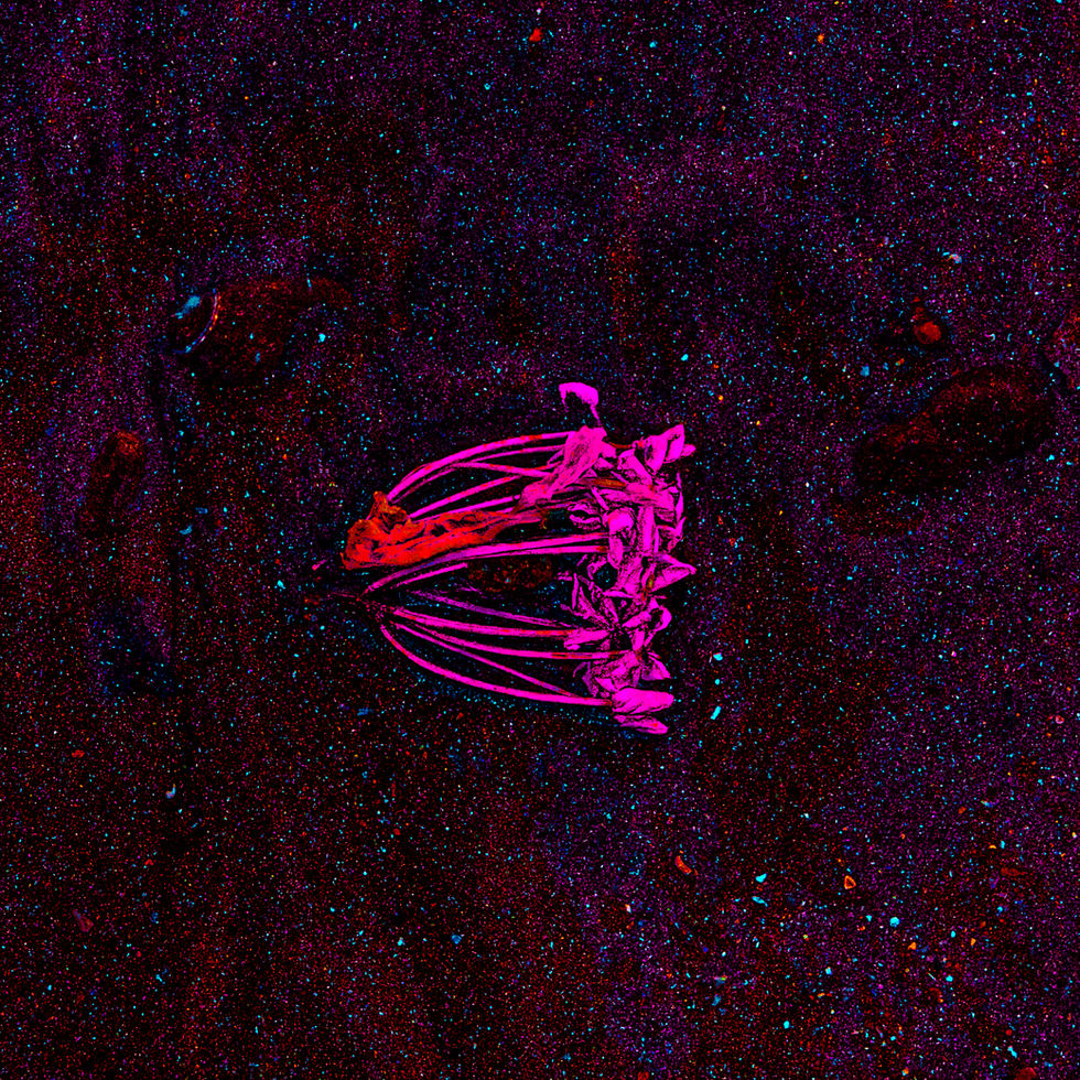 _K2A0660