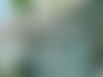 Top 5 ưu đãi đặc biệt khi thuê theo tháng tại Mangrove Hotel