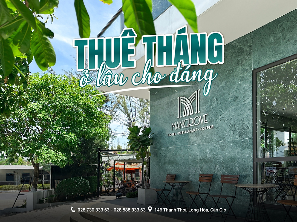 Mangrove Hotel - lựa chọn hoàn hảo cho những ai cần lưu trú dài ngày để công tác, làm việc từ xa hay nghỉ ngơi giữa không gian yên bình của Cần Giờ.