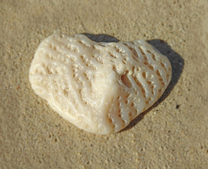 Mein kleines Herz // My small heart