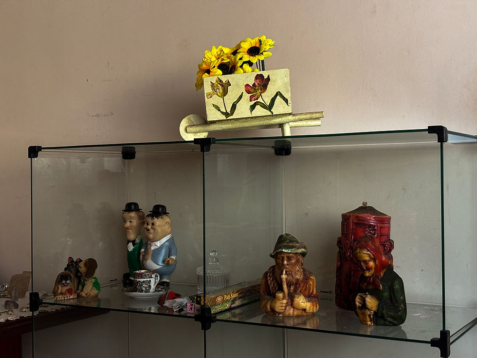 32-IMG_1542.jpg