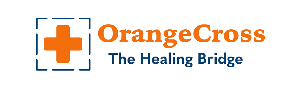 OrangeCross Final Accepted Version website.png