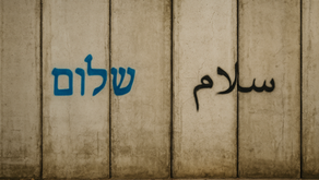 Gaza, Grief, and the Ghosts of Our Wars