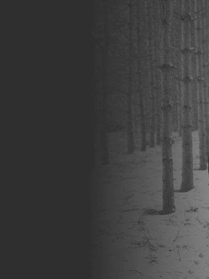 A Supervision Journey: From Listening to Liberation