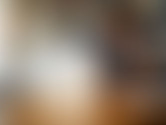 Making Money Online Overnight: The Realistic Guide to Achieving Financial Success