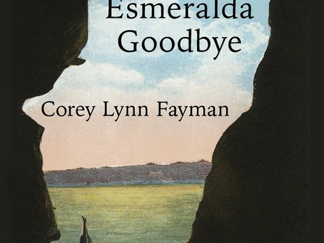 Up Next: The Novel, The Esmerelda Goodbye…
