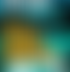 What I'm Currently Reading